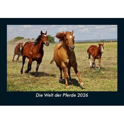 Die Welt der Pferde 2026 Fotokalender DIN A5