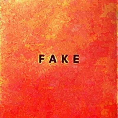 Nerven, D: Fake - Die Nerven, CD