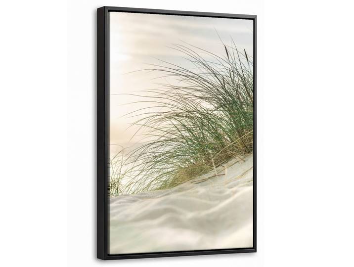 LEINWAND Bilder mit Rahmen - Dünen mit Strandhafer in der Sonne des Nationalparks Schleswig-Holsteinisches Wattenmeer - 20x30