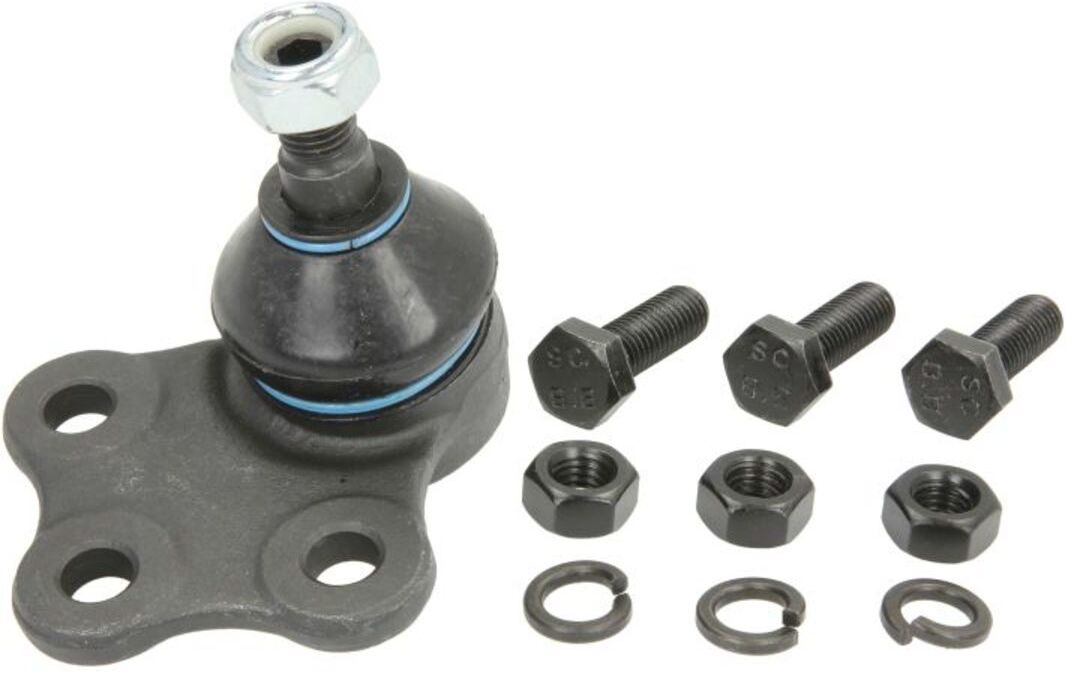 Junta de suporte REINHOCH RH03-5003