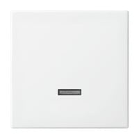 Bedienelement Typ 6543-914-102, Dimmer Retail
