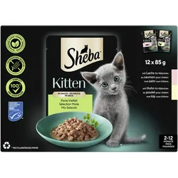 Sheba Multipack Kitten Feine Vielfalt in Sauce 4x1.02 kg