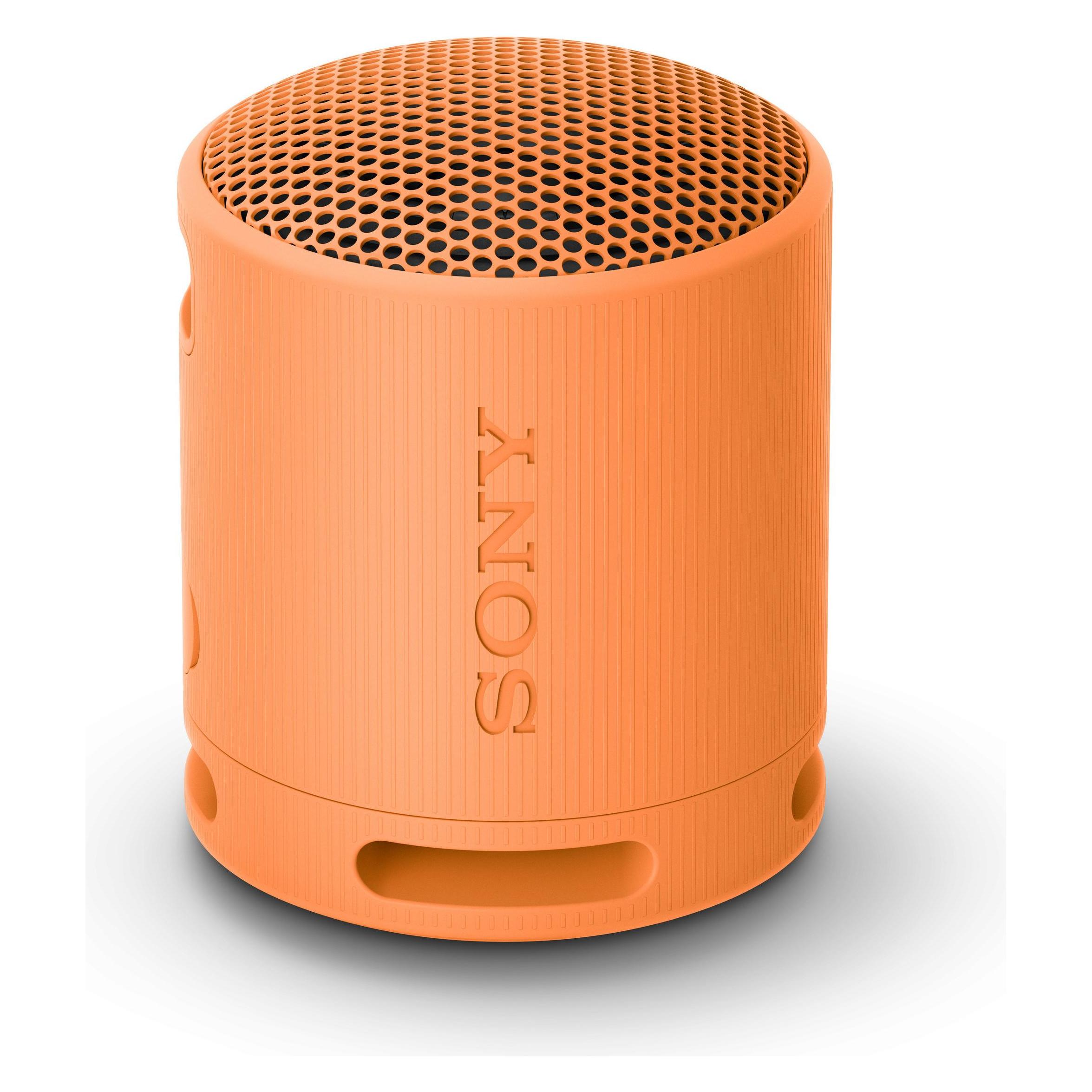 Sony SRS-XB100 (16 h) (SRSXB100D.CE7)