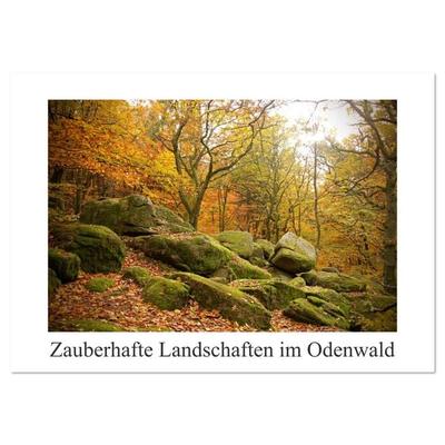 Zauberhafte Landschaften im Odenwald (Wandkalender 2026 DIN A3 quer), CALVENDO Monatskalender