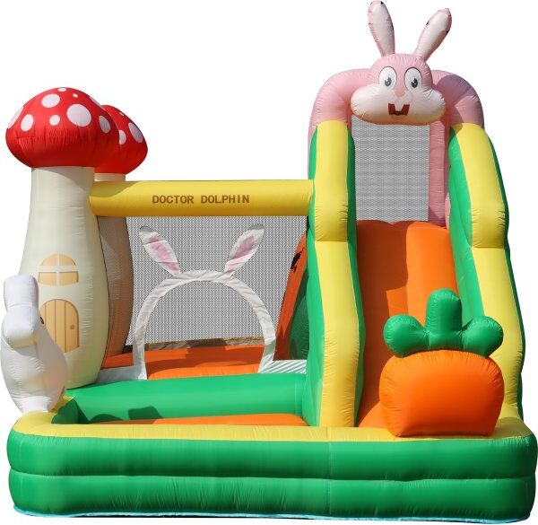 Doctor Dolphin Rabbit Hoppeborg