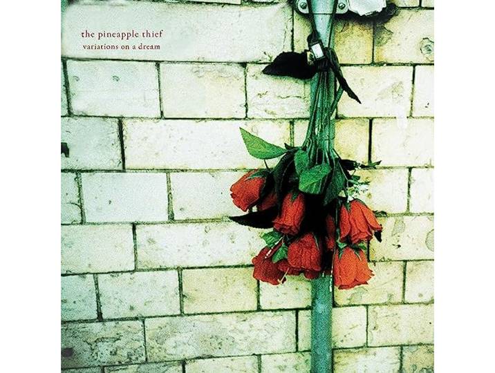 Pineapple Thief - Variations On A..
