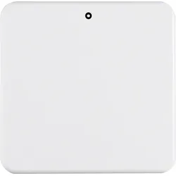 Berker Wippe pws 155109