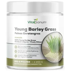 VitaSanum® Junges Gerstengras – 5 g Tagesportion – 100 % Gerstengraspulver Pulver