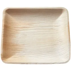 Palmblatt Teller quadratisch 25 x 25 x 2 cm Karton (200 Stück)