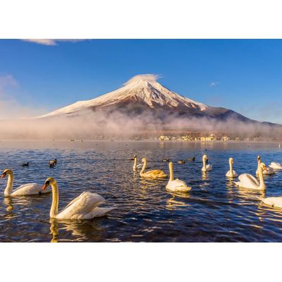 Fototapete PAPERMOON "Mount Fuji", bunt, B:2,5m L:1,86m, Vlies, Tapeten
