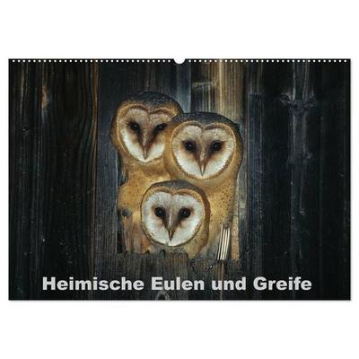 Heimische Eulen und Greife (Wandkalender 2027 DIN A2 quer), CALVENDO Monatskalender