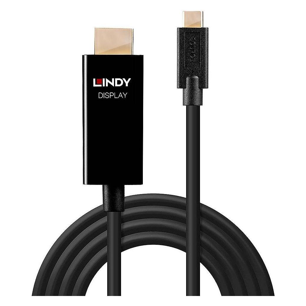 Lindy Videoschnittstellen-Converter (1 m) (43291)