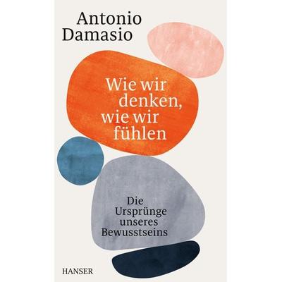 Wie wir denken, wie wir fühlen, Gebundene Ausgabe von Antonio Damasio, Carl Hanser, 978-3-446-27094-7