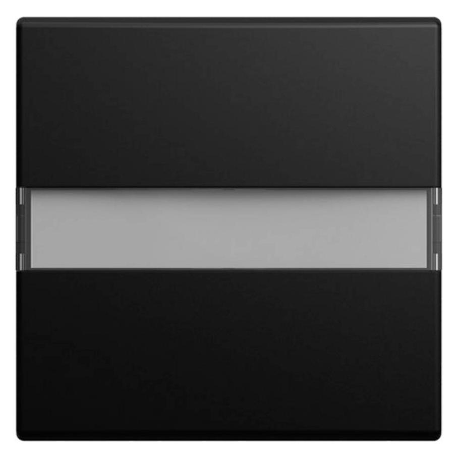 Busch-Jaeger Wippe (2CKA001731A4042)