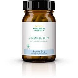Vitamin B6 120 ST