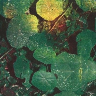 About Honey - Whoman, Vinyl