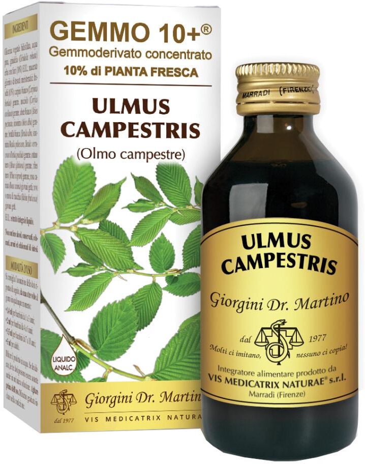 DR.GIORGINI SER-VIS Srl OLMO CAMP 100ml Analc.Gemme10+