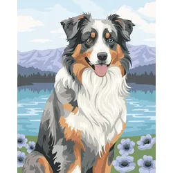 Ravensburger CreArt 12023114 - Australian Shepherd Merlin - Malen nach Zahlen ab 12 Jahren