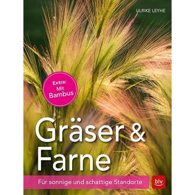 Gräser und Farne, Taschenbuch von Ulrike Leyhe, BLV ein Imprint von GRÄFE UND UNZER Verlag GmbH, 978-3-8354-1712-0