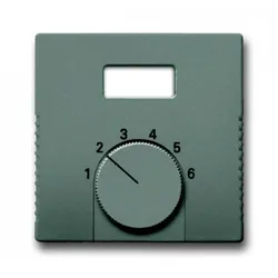 Busch-Jaeger 1794 TA-803 Zentralscheibe für Raumtemperaturregler