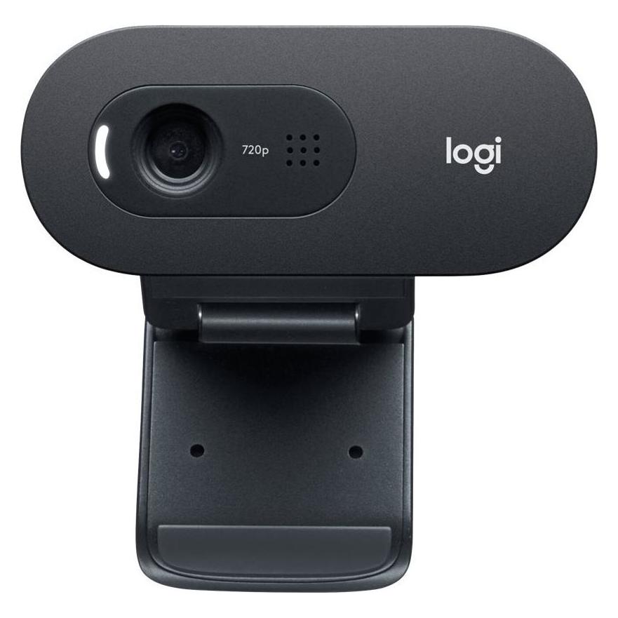 Logitech C505 (0.90 Mpx) (960-001364)