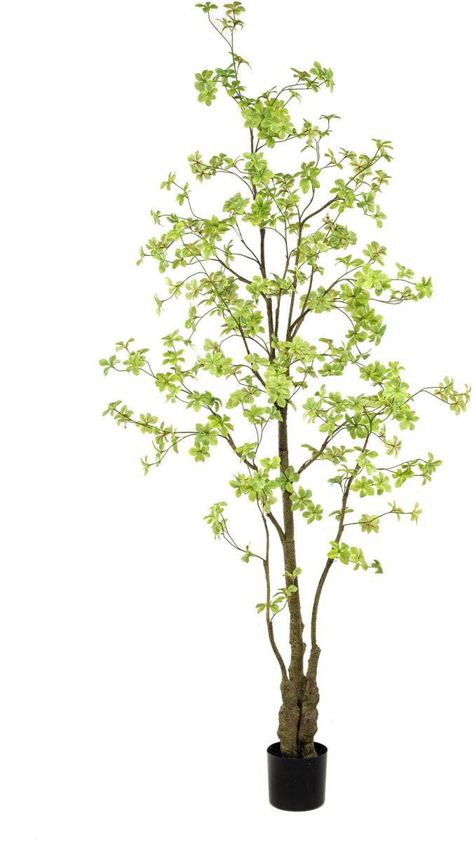 Emerald Kunstboom Tropaeolum 245 cm - Kunstplant voor binnen - Oost Indische kers