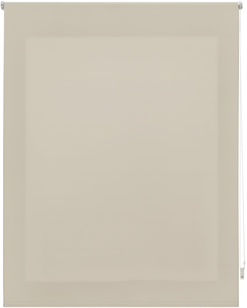 Omgoods Premium Rolgordijn Translucent B: 140 cm, H: 175 cm