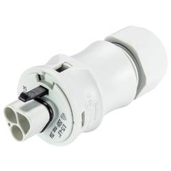 Wieland Electric 96.022.0453.0 Steckverbinder