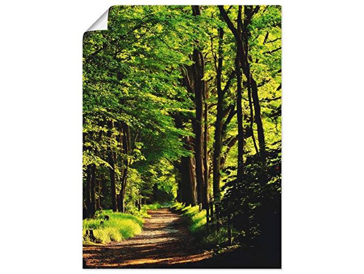 ARTLAND Wanddeko Poster & Kunstdrucke Wandposter 90x120 cm Wald Landschaft Natur Frühling Sonne Bäume Landhaus T1UC