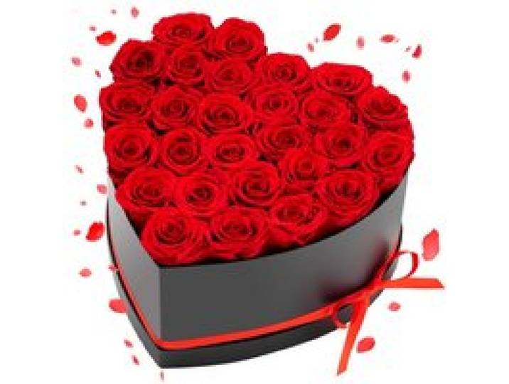 VEVOR 27 Stk. Ewige Rosen in Herzform Box, konservierter Blumenstrauß, Blumen Geschenkbox für ihre Frau, Mütter, Liebespartner, zur Hochzeit, zum Muttertag, Valentinstag, Weihnachten, Rot