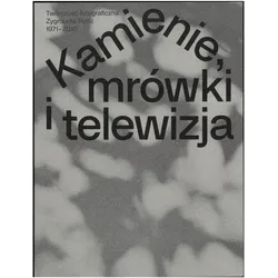 Zygmunt Rytka: Stones, Ants, and Television, Fachbücher von Daniel Muzyczuk, David, Cyan, Lyosha, Tom Avermaete, Crowley, Brandenburgisches Landesmuseum für moderne Kunst (BLMK), Zygmunt Lesniewska Rytka, Karol, Hordziej, Kritsuk