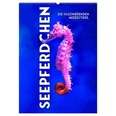 Seepferdchen - Die faszinierende Meerestiere. (Wandkalender 2026 DIN A2 hoch), CALVENDO Monatskalender