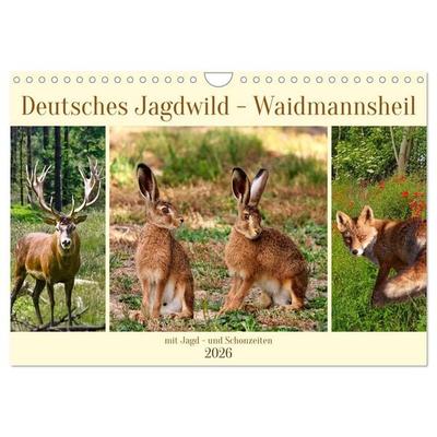 Deutsches Jagdwild - Waidmannsheil (Wandkalender 2026 DIN A4 quer), CALVENDO Monatskalender