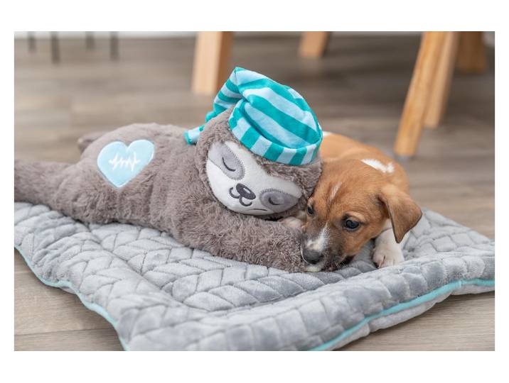 Tier-Intelligenzspielzeug TRIXIE Junior Fault , braun, L:34cm, Tierspielzeuge, Tier-Intelligenzspielzeug
