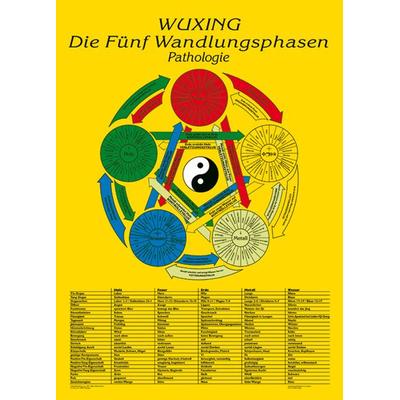 Die Fünf Wandlungsphasen: Pathologie, Poster von Florian Ploberger, Bacopa, 978-3-901618-92-5