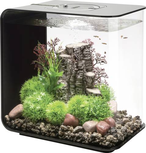 Oase 72033 biOrb FLOW 30 LED schwarz Aquarium 30l mit LED-Beleuchtung