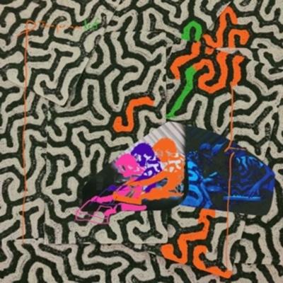 Tangerine Reef - Animal Collective, Vinyl