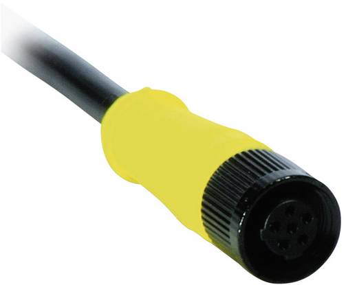 BERNSTEIN AN-KAB.SHS3 5M 3251006292 Anschlusskabel gerade 5m
