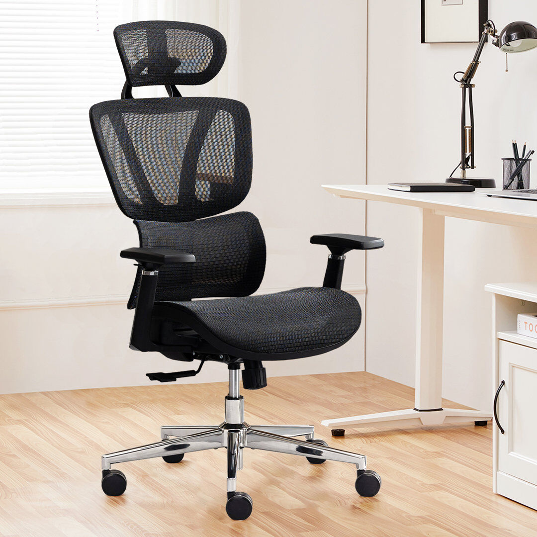 Inbox Zero Gavazova Ergonomic High Back Mesh Office Chair with Adjustable Lumbar Support and Headrest Black 70cm W X 70cm D