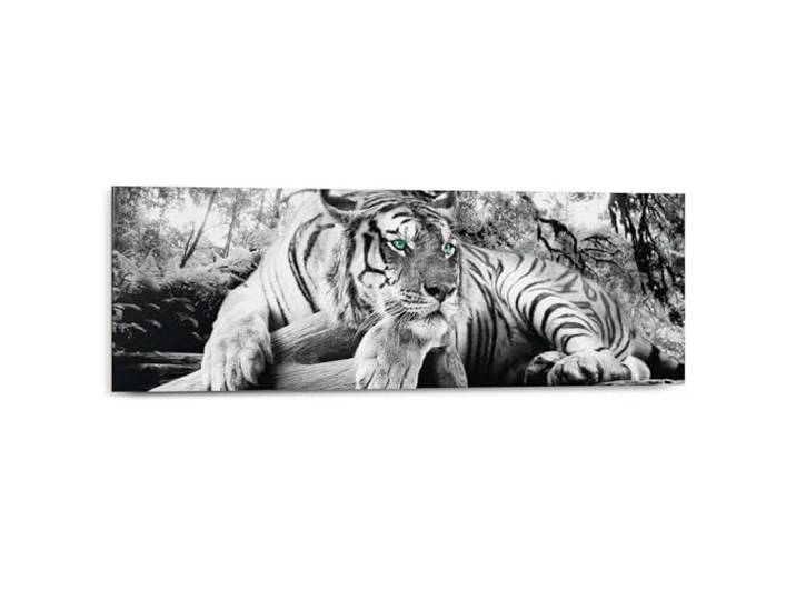 Deco Panel 'Tiger guckt dich an', Fotodruck