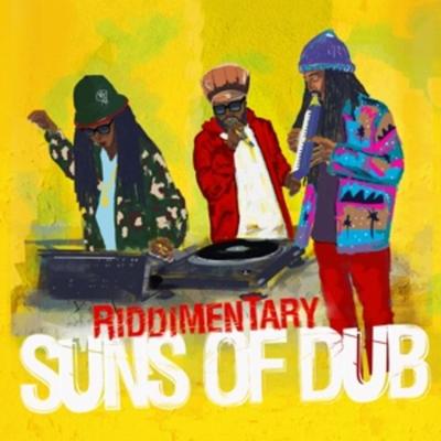 Riddimentary - Suns Of Dub, Vinyl