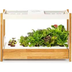 Click and Grow, Blumentopf, Click & Grow 25, White