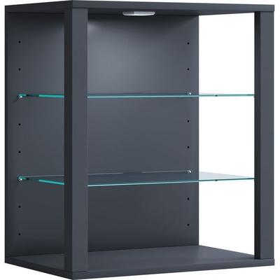 Holz Glas Stand Vitrine Sammelvitrine Glasol SW