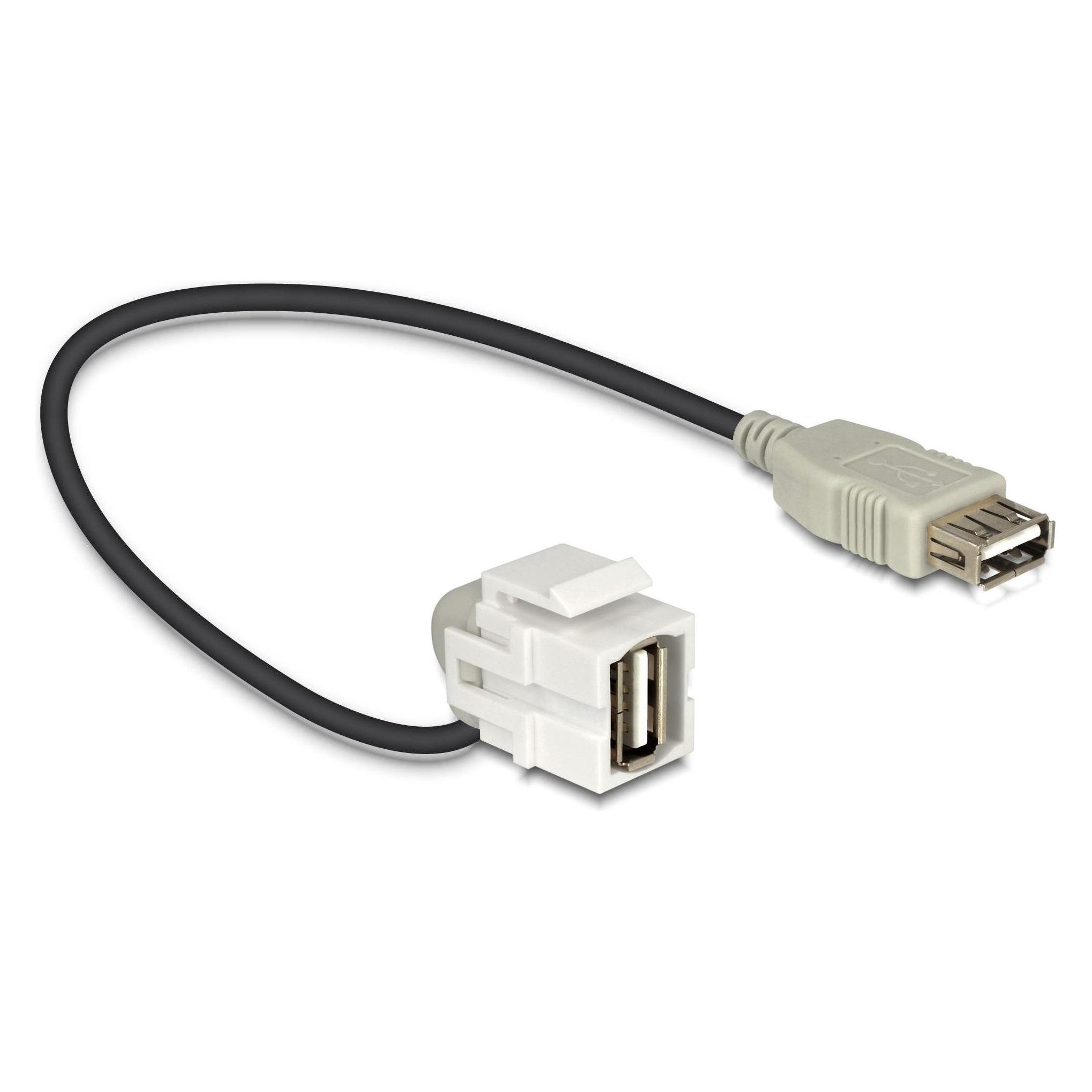 Delock Keystone Jack: USB2.0,110° gewinkelt (0.24 m, USB 2.0) (86327)