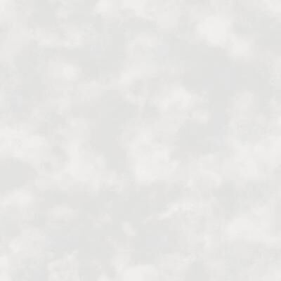 Galerie Wallcoverings Tiny Tots 2 Baby Texture Non-woven Glitter/Matte Wallpaper Roll