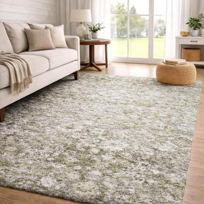 Addison Rugs Premium Washable Super Soft Traditional Erwin Dream Shag Rug