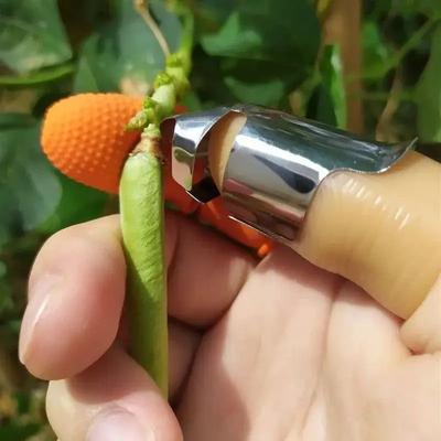 HarvestPro Stainless Steel Thumb Knife For Garden Harvesting & Fruit Picking HarvestPro Stainless Steel Thumb Knife For Garden Harvesting & Fruit Picking