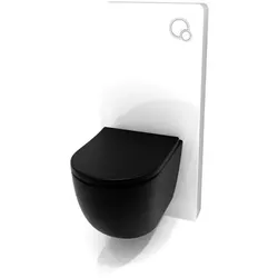 SAT Fusion Wand-WC Set Vorwandmontage SIKOSGFUSTORBLW