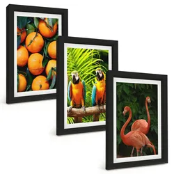 BILDER SET 3er Set - 20x30 cm Schwarzer Rahmen - Fruchtige Akzente in den Tropen