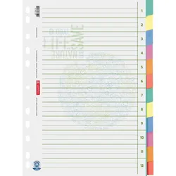 BRUNNEN Ordnerregister Vollformat blanko DIN A4